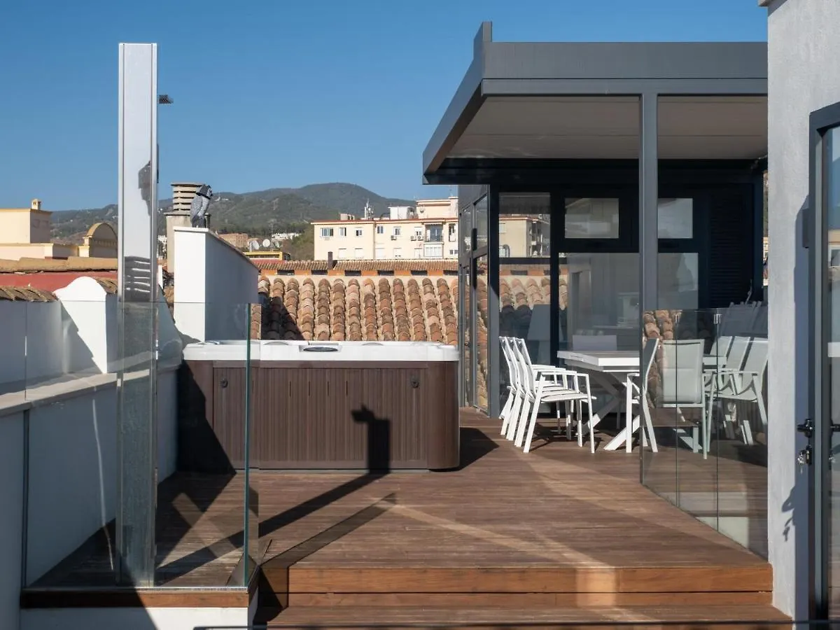 Inmalaga Penthouse Plaza De La Merced